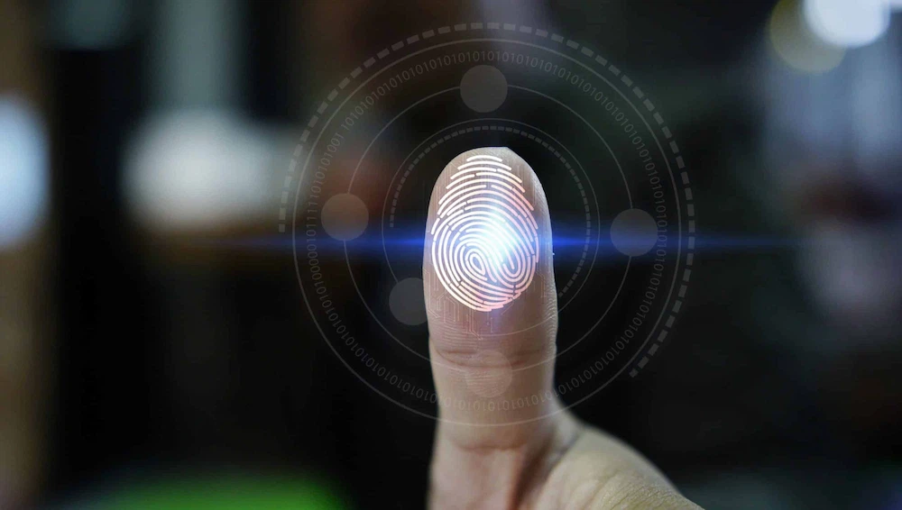 Finger tip can identify a person identity. Call Fingerscan Digital Inc to get live scan