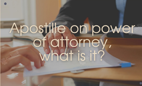 Fingerscan Digital Power of Attorney Apostille: Client with paperwork
