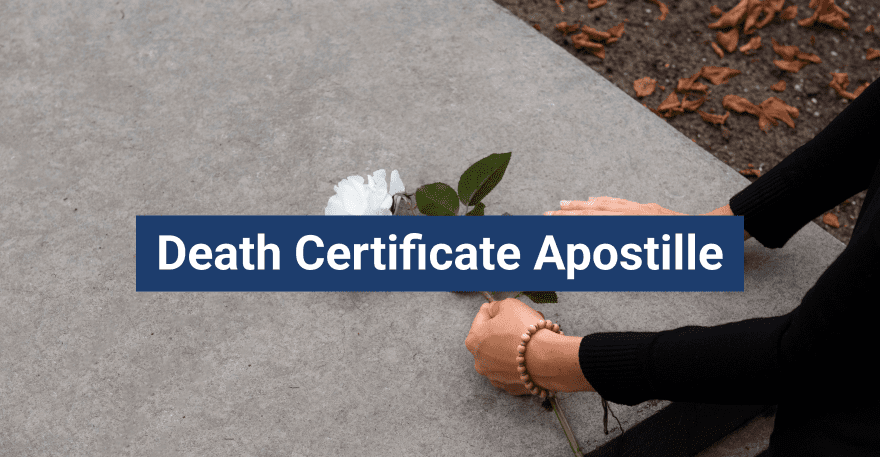 person placing a white rose on a grave