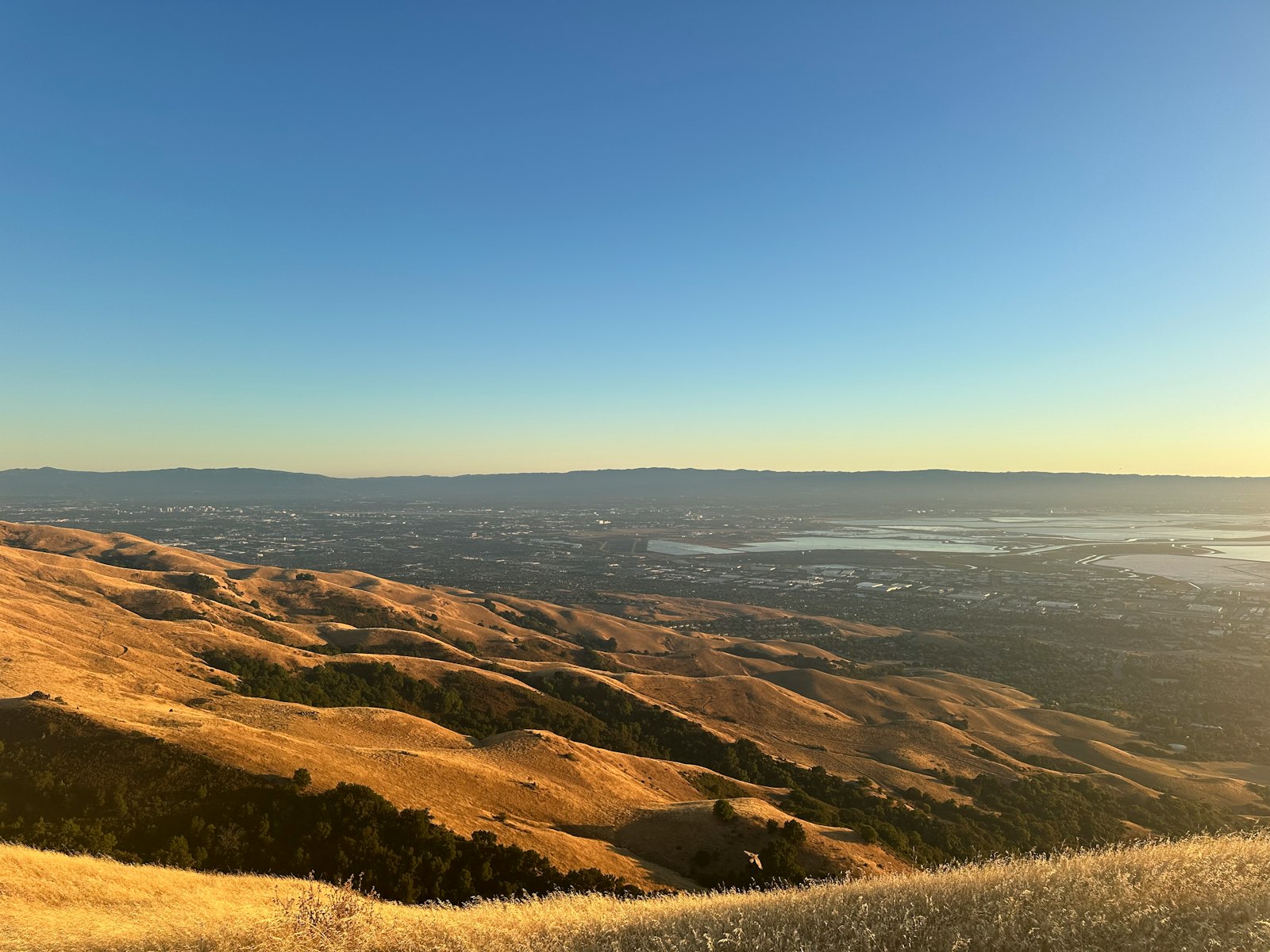 Mission Peak hills in Fremont, California